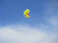 IMG 0864