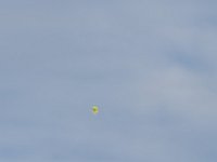 IMG 0866