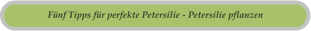 Fünf Tipps für perfekte Petersilie - Petersilie pflanzen
