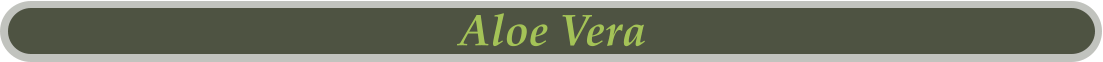 Aloe Vera