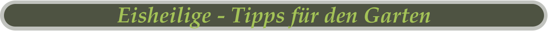 Eisheilige - Tipps für den Garten