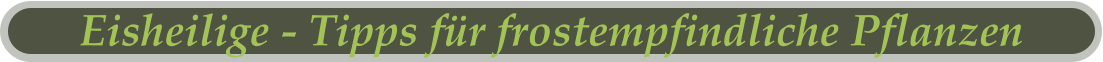 Eisheilige - Tipps für frostempfindliche Pflanzen