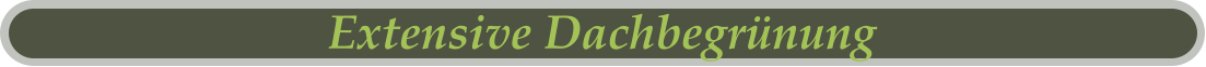 Extensive Dachbegrünung