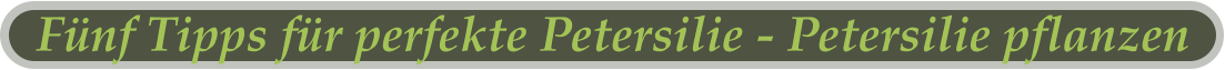 Fünf Tipps für perfekte Petersilie - Petersilie pflanzen