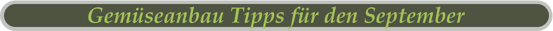 Gemüseanbau Tipps für den September