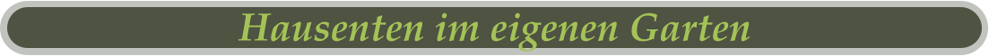 Hausenten im eigenen Garten