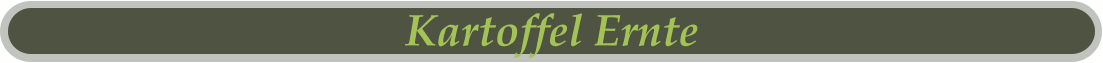 Kartoffel Ernte