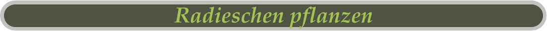 Radieschen pflanzen