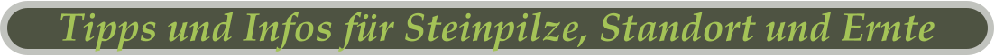 Tipps und Infos für Steinpilze, Standort und Ernte