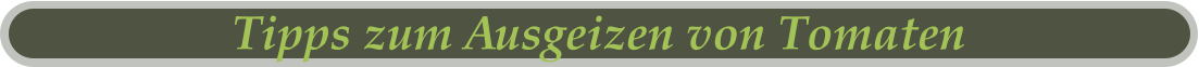 Tipps zum Ausgeizen von Tomaten