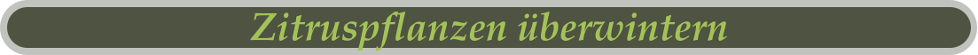 Zitruspflanzen überwintern