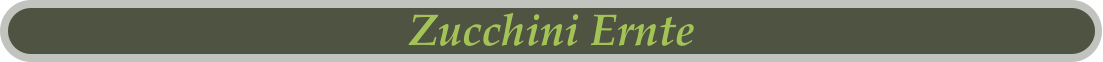 Zucchini Ernte
