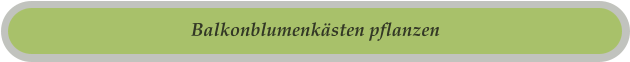 Balkonblumenkästen pflanzen