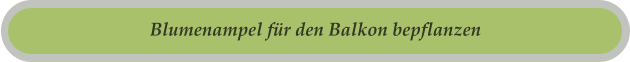 Blumenampel für den Balkon bepflanzen