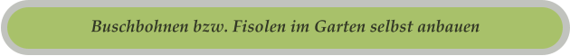 Buschbohnen bzw. Fisolen im Garten selbst anbauen