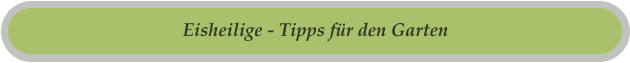 Eisheilige - Tipps für den Garten