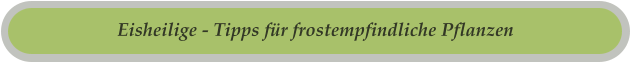 Eisheilige - Tipps für frostempfindliche Pflanzen