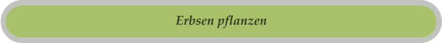Erbsen pflanzen