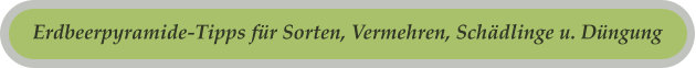 Erdbeerpyramide-Tipps für Sorten, Vermehren, Schädlinge u. Düngung