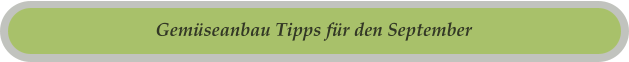 Gemüseanbau Tipps für den September