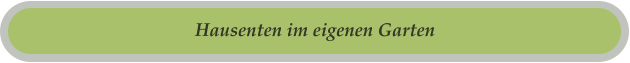 Hausenten im eigenen Garten