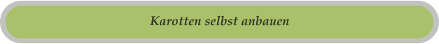 Karotten selbst anbauen