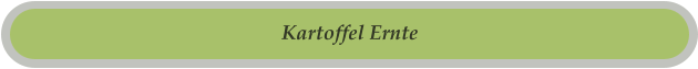 Kartoffel Ernte