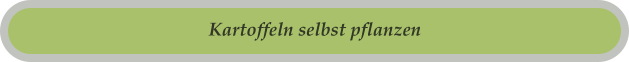Kartoffeln selbst pflanzen