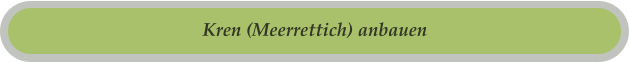 Kren (Meerrettich) anbauen