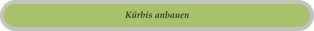 Kürbis anbauen