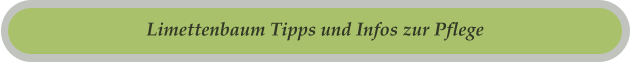 Limettenbaum Tipps und Infos zur Pflege