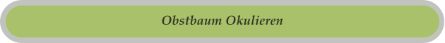 Obstbaum Okulieren