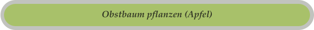 Obstbaum pflanzen (Apfel)