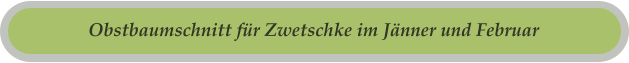 Obstbaumschnitt für Zwetschke im Jänner und Februar