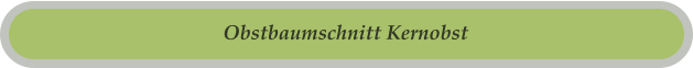 Obstbaumschnitt Kernobst