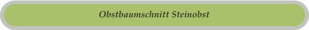 Obstbaumschnitt Steinobst