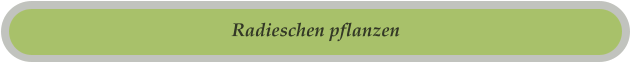 Radieschen pflanzen