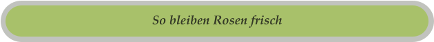 So bleiben Rosen frisch