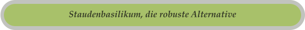 Staudenbasilikum, die robuste Alternative