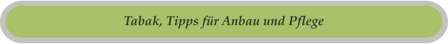 Tabak, Tipps für Anbau und Pflege