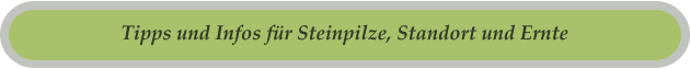Tipps und Infos für Steinpilze, Standort und Ernte