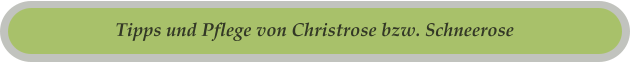 Tipps und Pflege von Christrose bzw. Schneerose