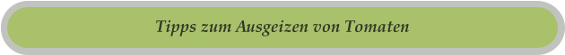 Tipps zum Ausgeizen von Tomaten