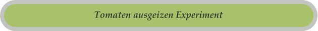 Tomaten ausgeizen Experiment