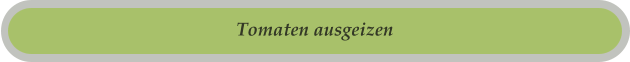 Tomaten ausgeizen