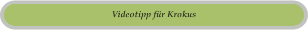 Videotipp für Krokus