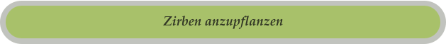 Zirben anzupflanzen