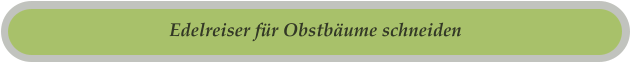 Edelreiser für Obstbäume schneiden
