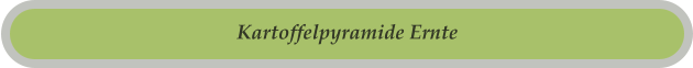 Kartoffelpyramide Ernte