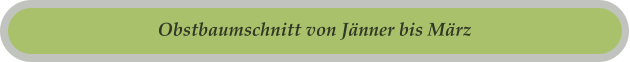 Obstbaumschnitt von Jänner bis März